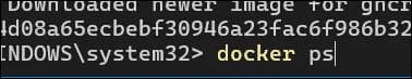 PowerShell에 docker ps 명령어를 입력해 컨테이너 상태를 확인하는 화면