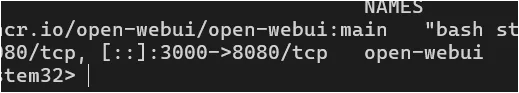 docker ps 결과에서 open-webui 컨테이너와 3000 포트 매핑을 확인하는 화면
