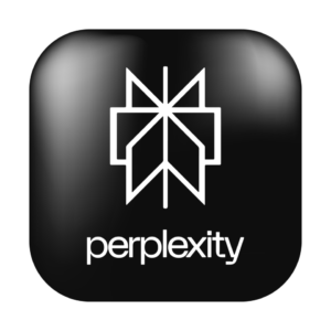 Perplexity
