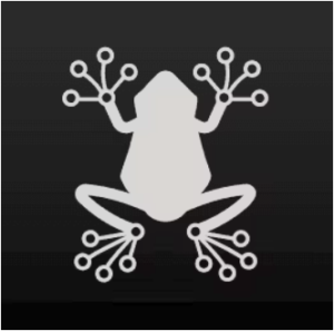 rainfrog ai logo