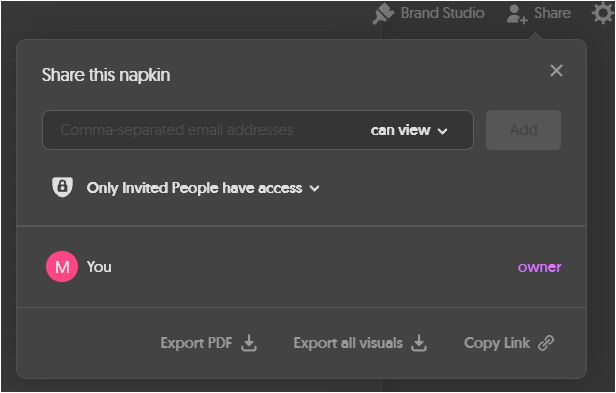 napkin ai 저장 상세 설명 - export pdf