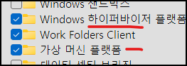 Windows 기능에서 Windows 하이퍼바이저 플랫폼과 가상 머신 플랫폼을 켠 화면